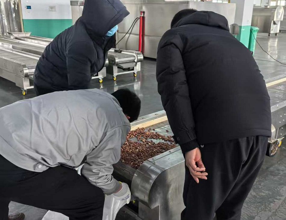 许昌不朽情缘MG-中国官方网站炒货机