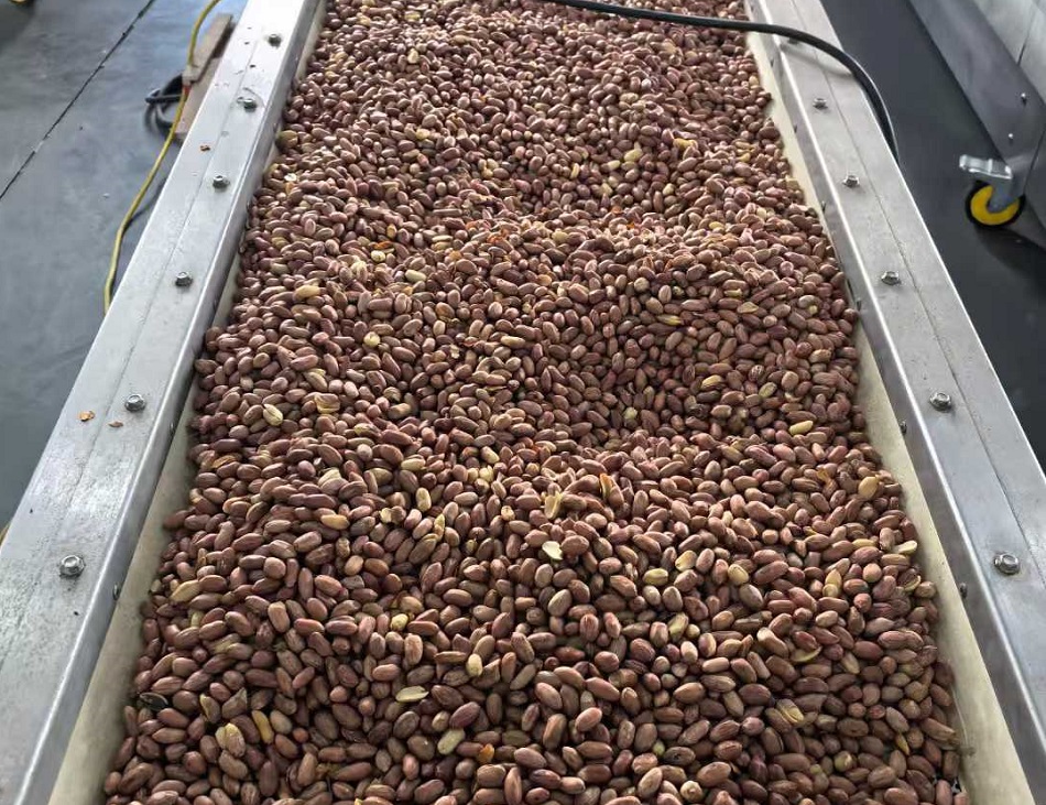 许昌不朽情缘MG-中国官方网站流水线电磁炒货机