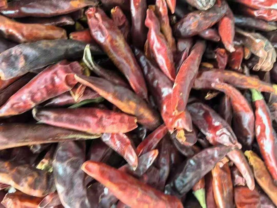 许昌不朽情缘MG-中国官方网站电磁炒货设备