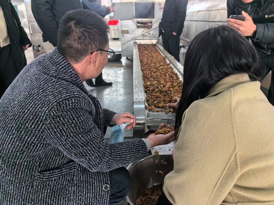 许昌不朽情缘MG-中国官方网站流水线炒货机