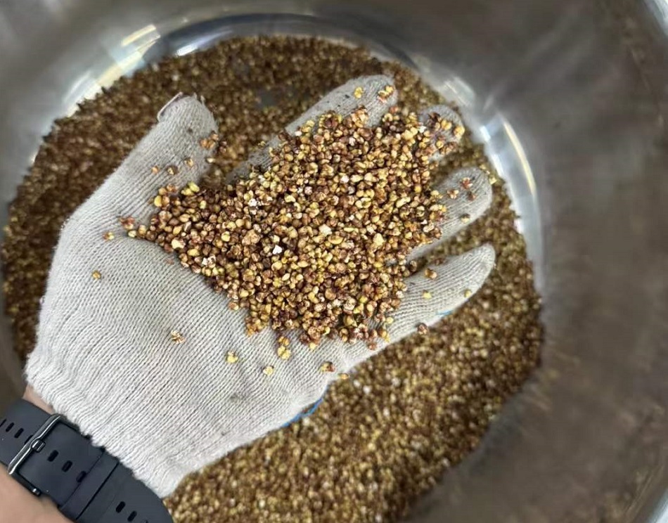 许昌不朽情缘MG-中国官方网站炒苦荞设备