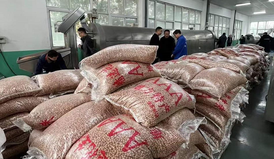 许昌不朽情缘MG-中国官方网站炒货机